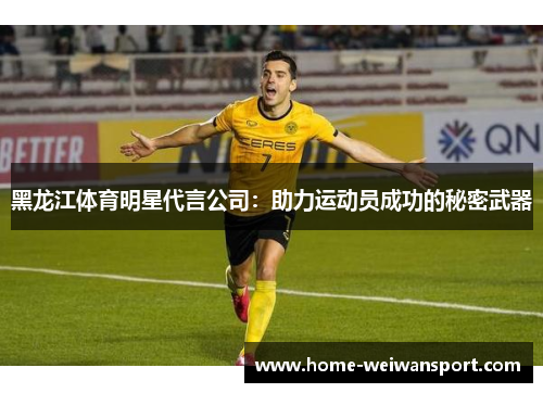 黑龙江体育明星代言公司：助力运动员成功的秘密武器