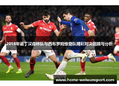 2018年诺丁汉森林队与西布罗姆维奇队精彩对决回顾与分析