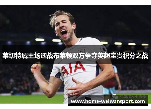莱切特城主场迎战布莱顿双方争夺英超宝贵积分之战